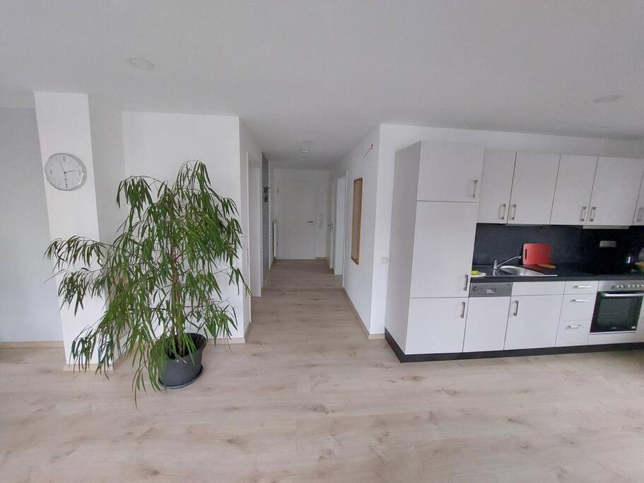 Ferienwohnung Koenigsquelle 巴特维尔东根 外观 照片